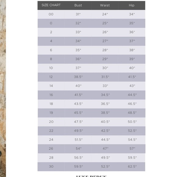 JENNY YOO BHLDN Eden Easton Wedding Gown Size 14 Deep V Neck Cutout NWT - Picture 13 of 13